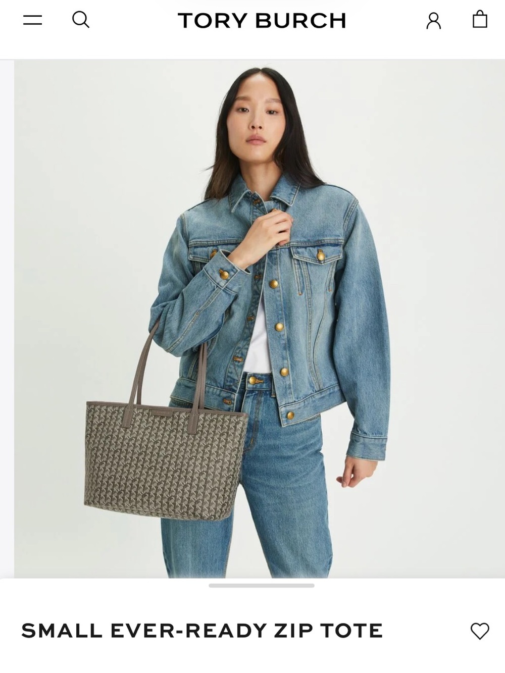 Small Ever-Ready Zip Tote in Taupe